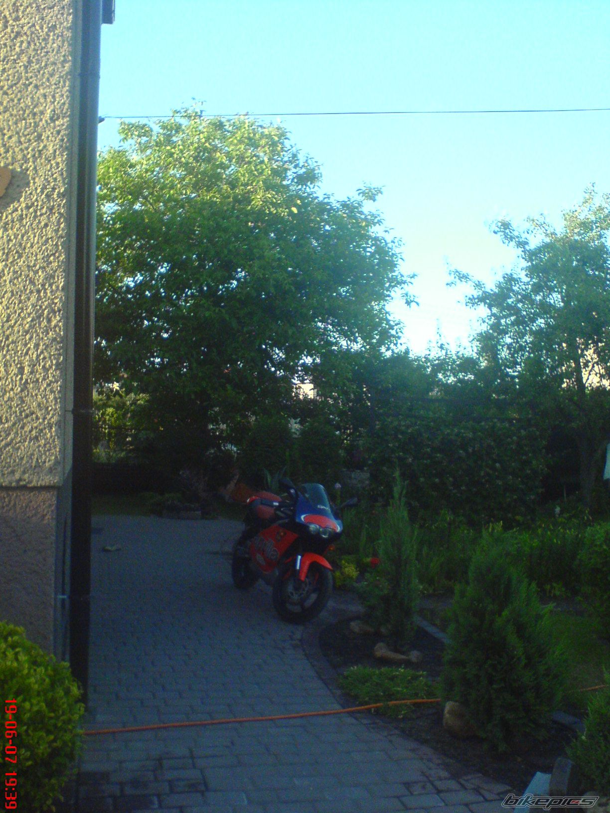 Photo 950910