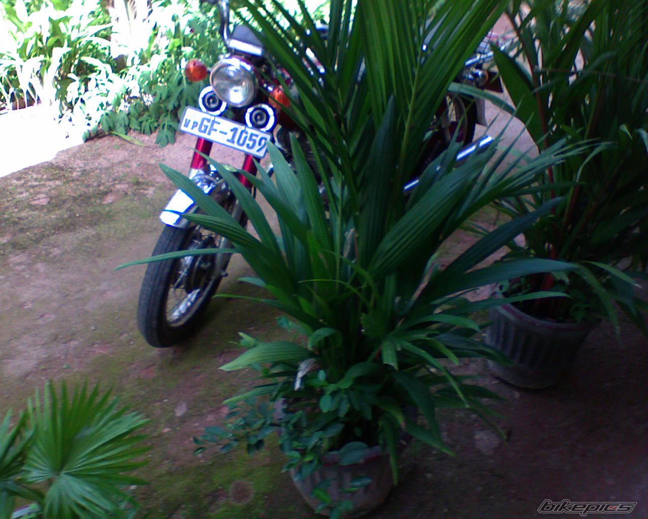 Bike Photo 951006