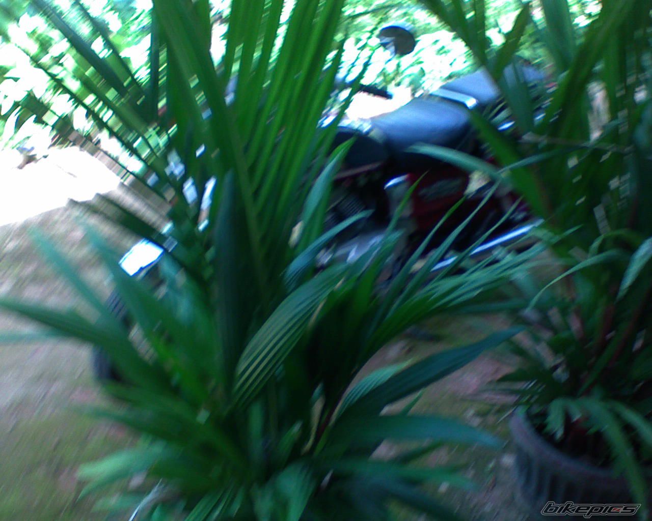 Bike Photo 951007
