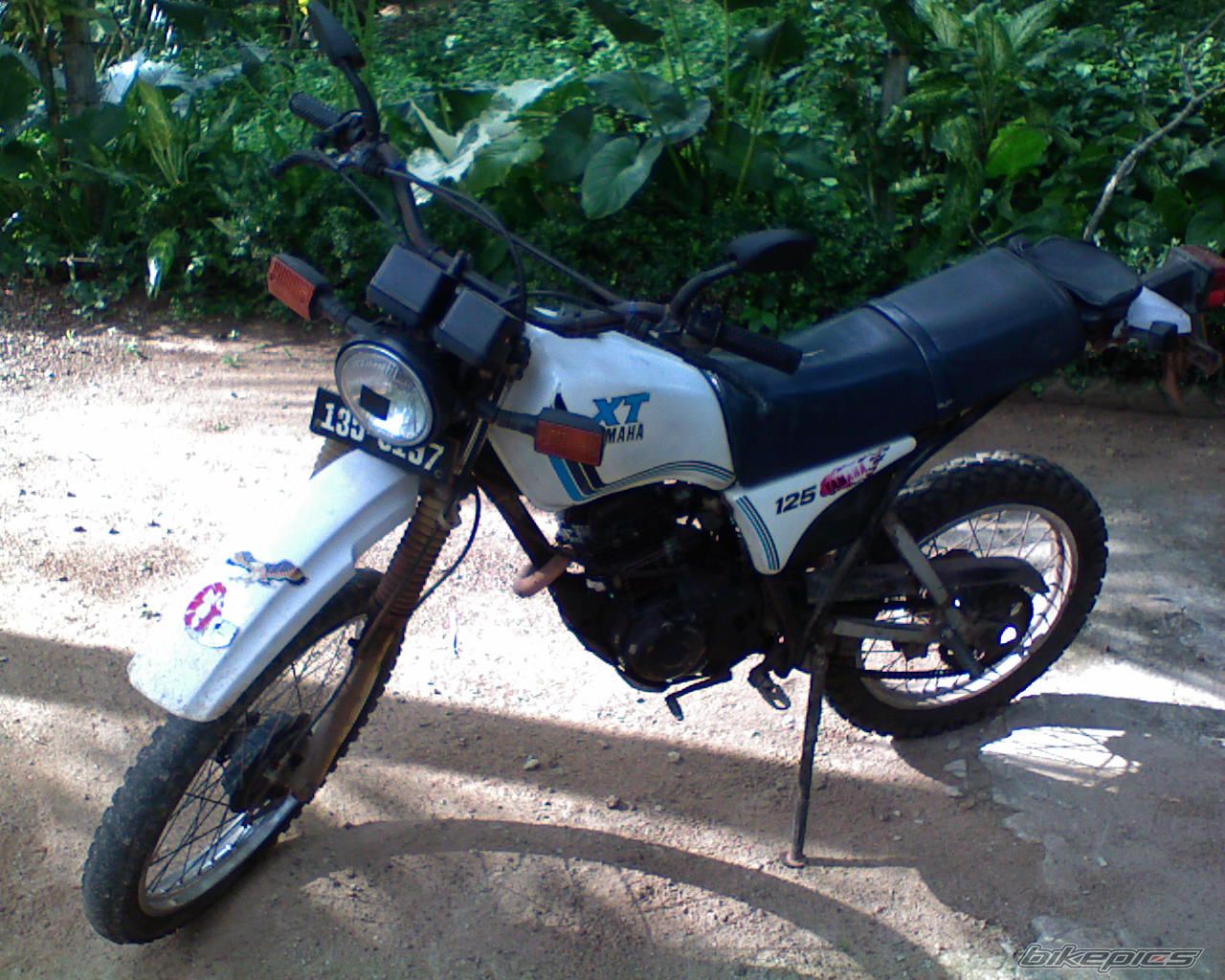Bike Photo 951010