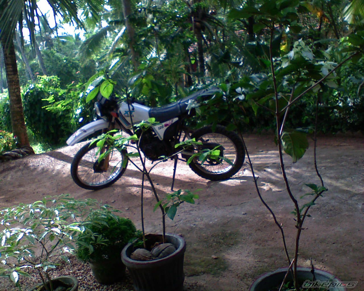 Bike Photo 951012