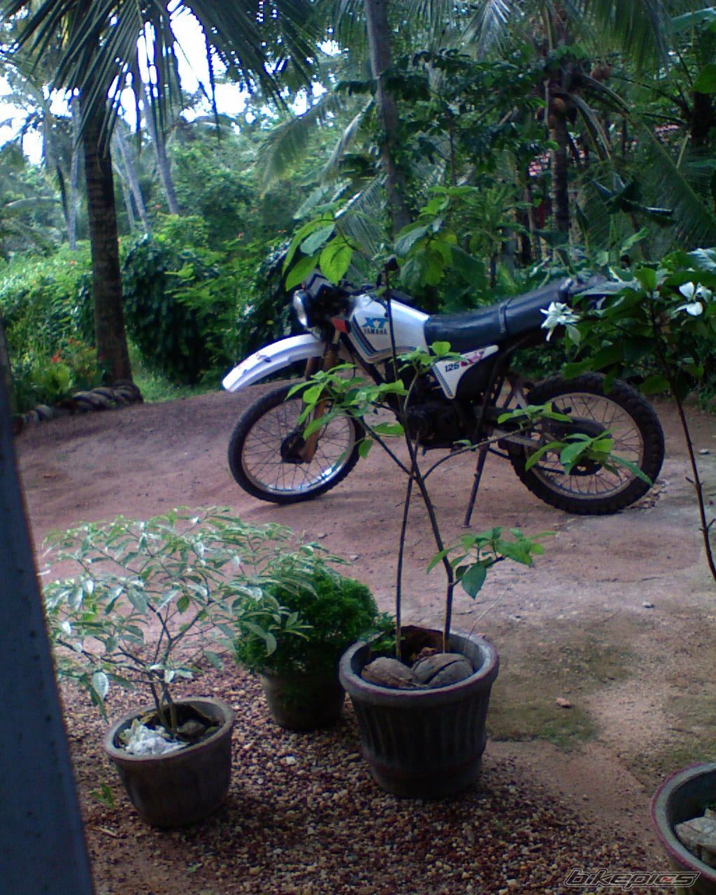 Bike Photo 951013