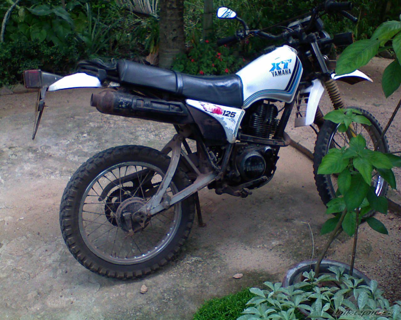 Bike Photo 951014