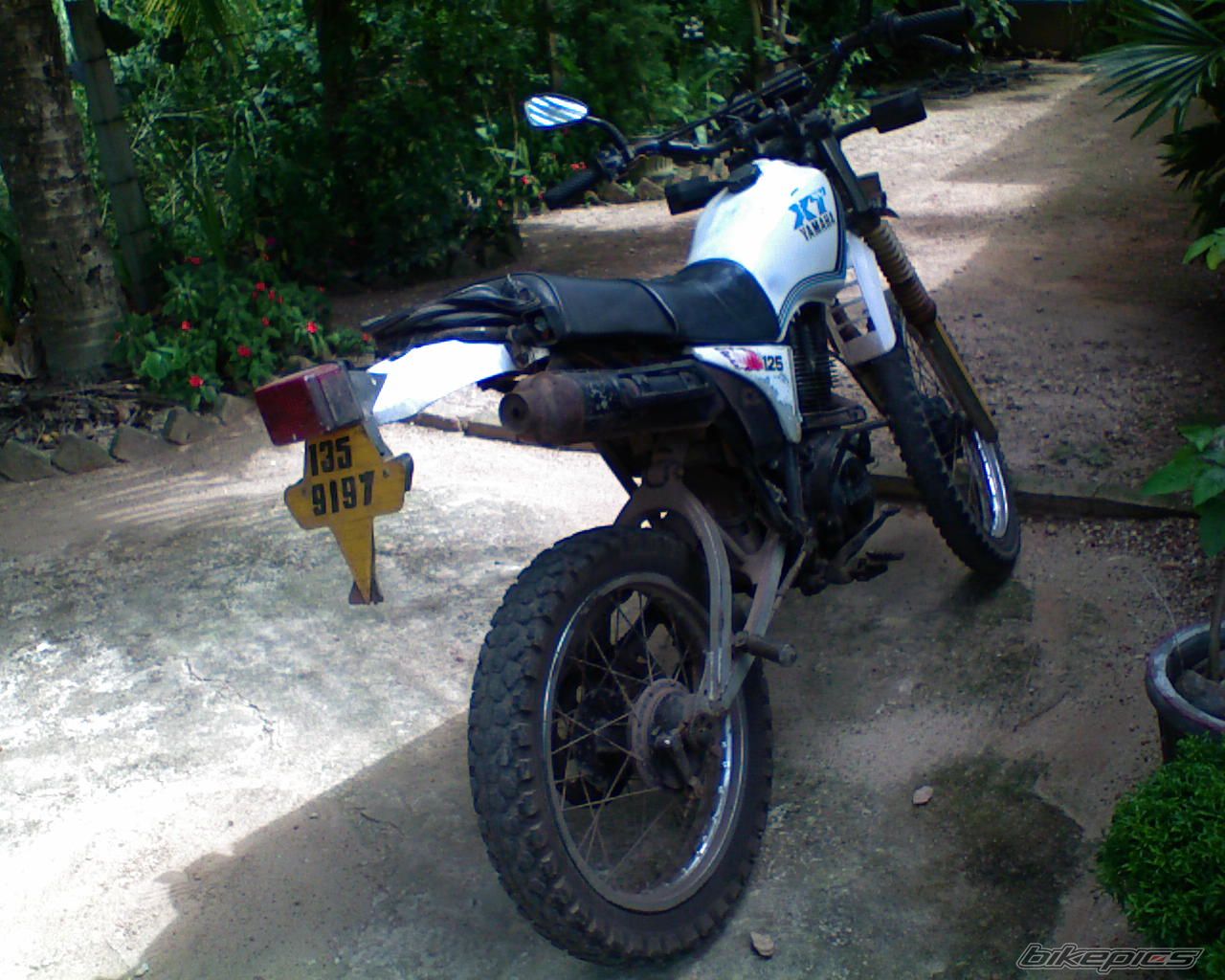 Bike Photo 951015