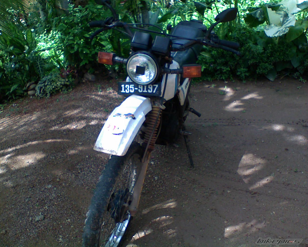 Bike Photo 951016