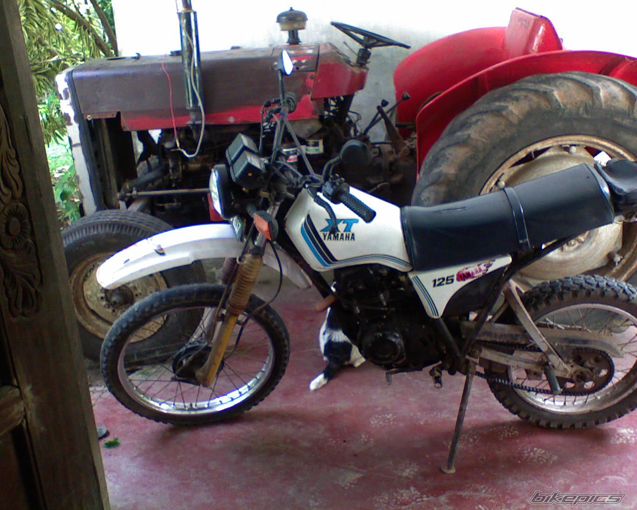 Bike Photo 951017