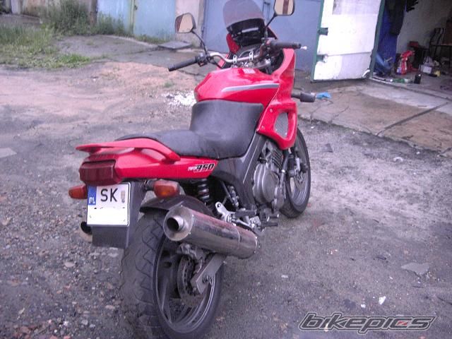 Photo 951041