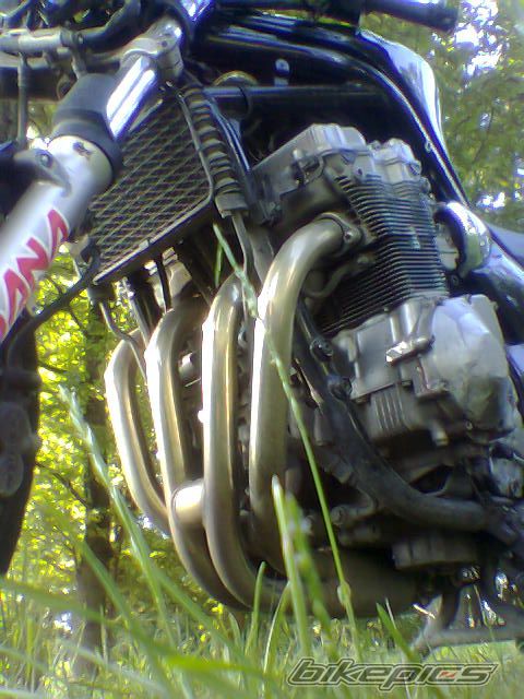 Photo 951310