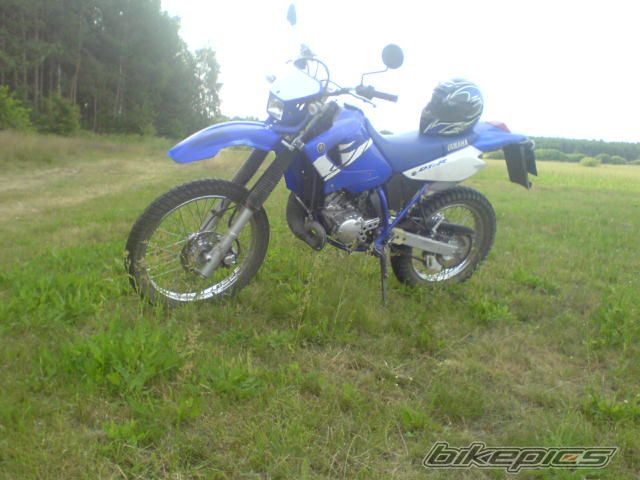 Photo 951425