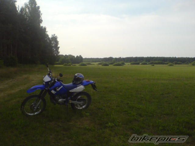 Photo 951429