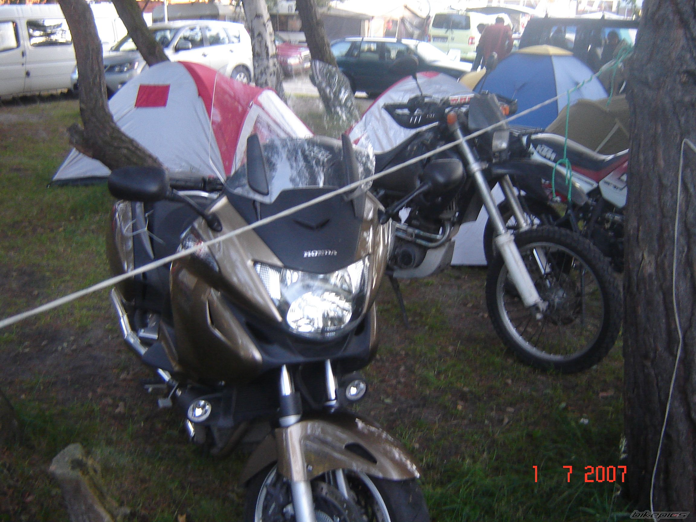Photo 951562