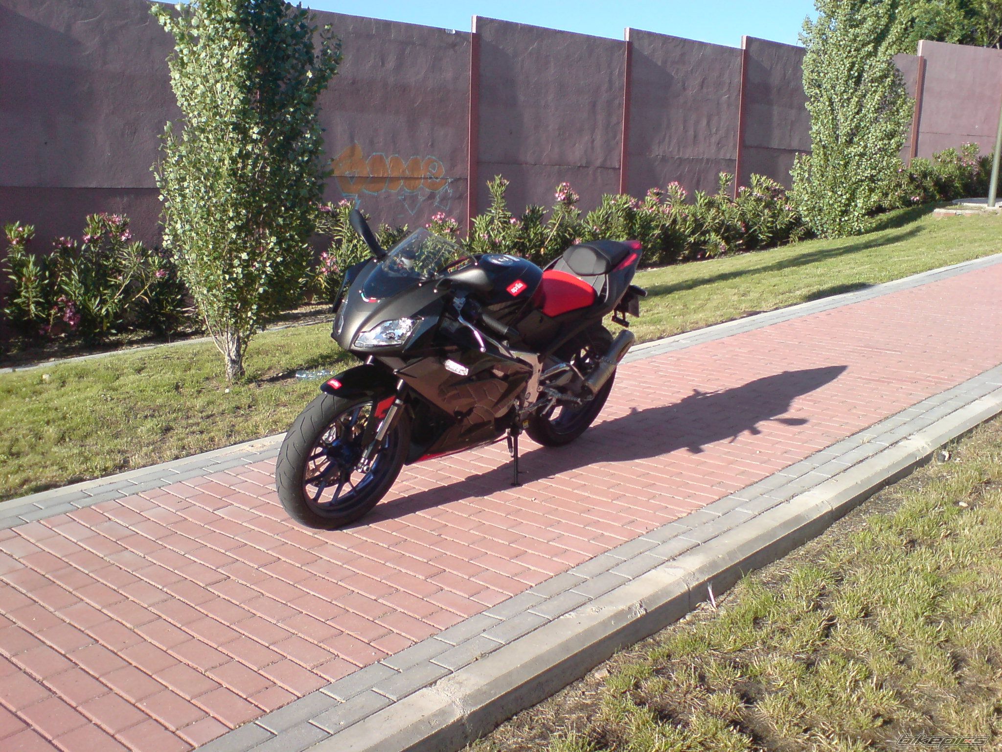 Photo 951610