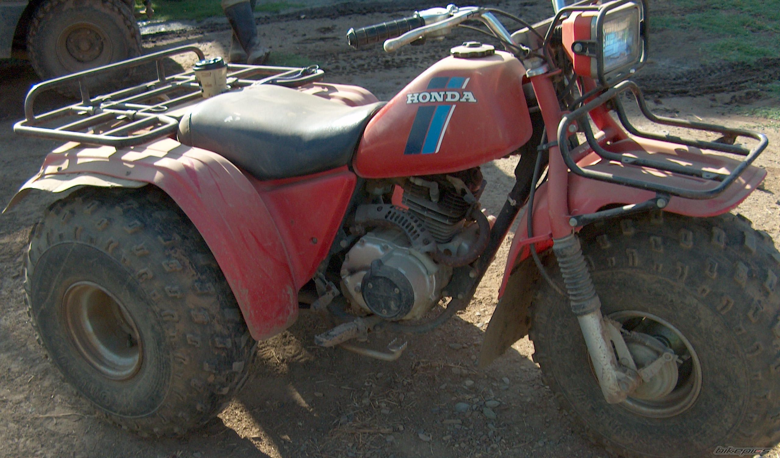 Photo 951730
