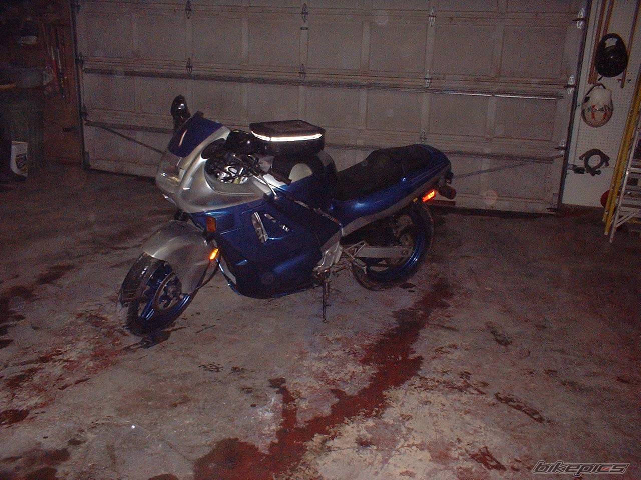 Photo 95178