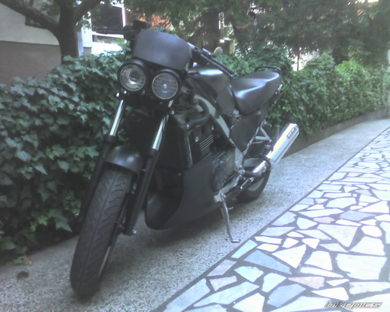 Photo 951823