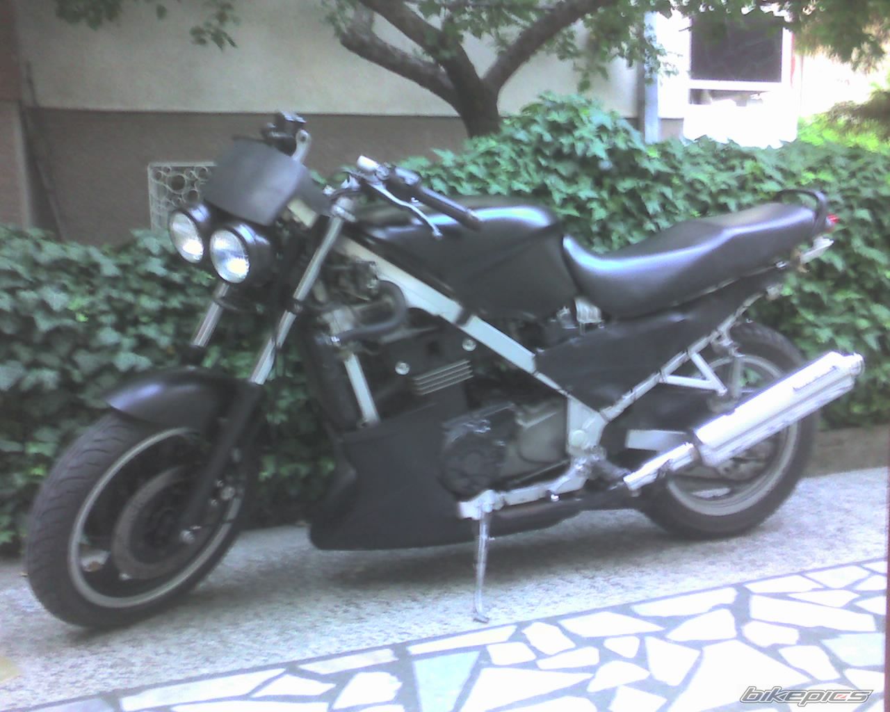 Photo 951824