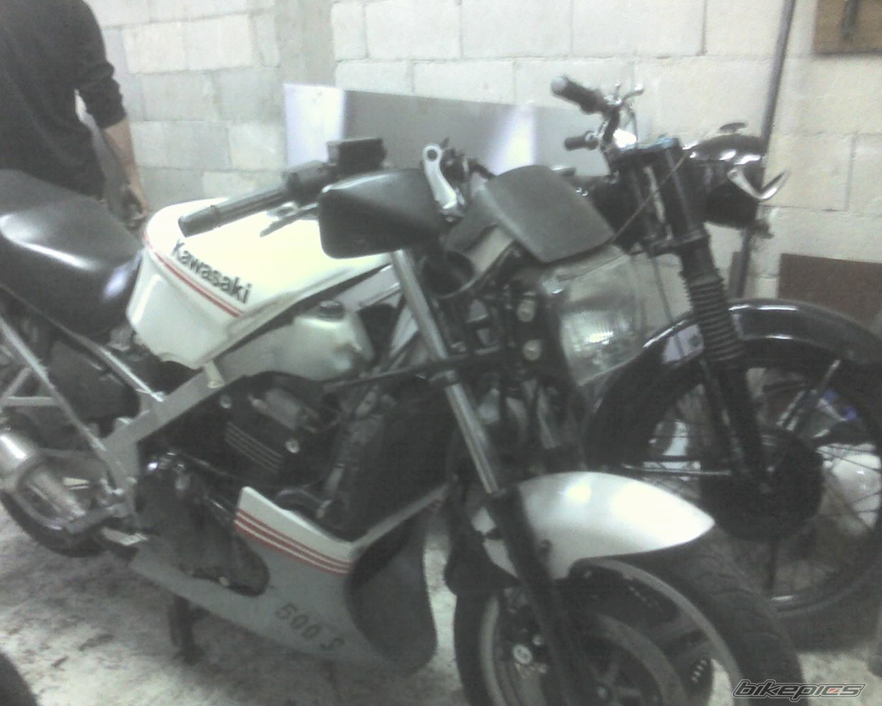 Photo 951834