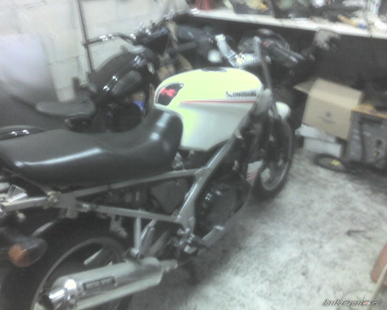 Photo 951835