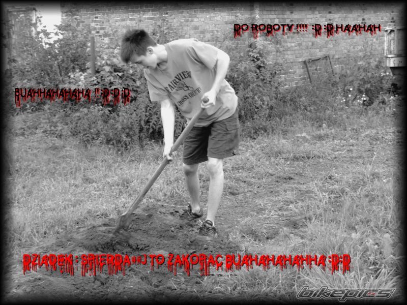 Photo 951976