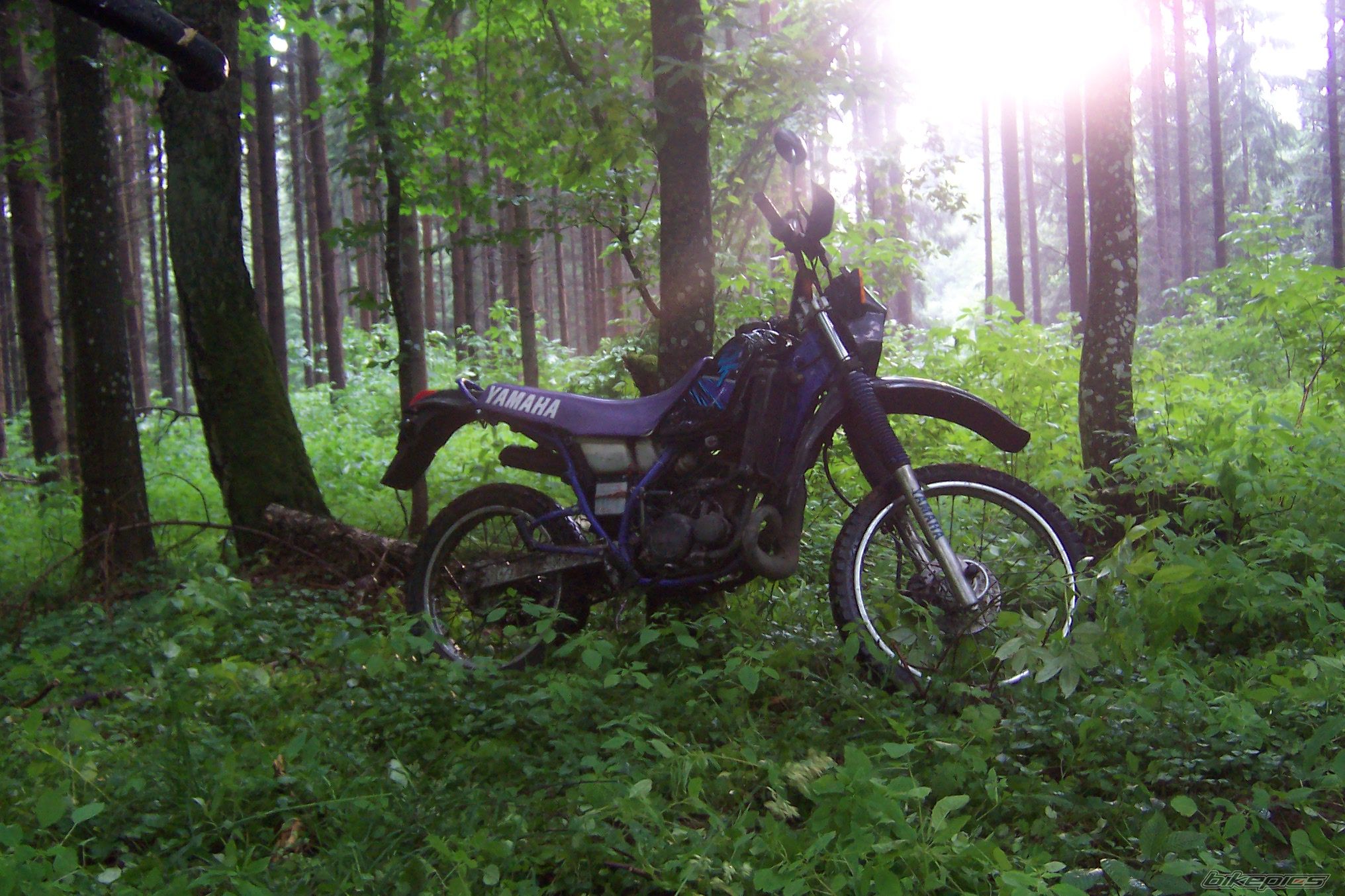 Photo 952132