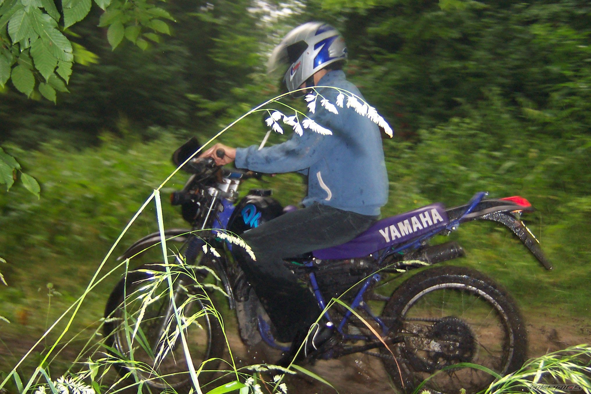Photo 952140