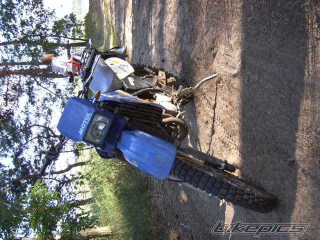 Photo 952178