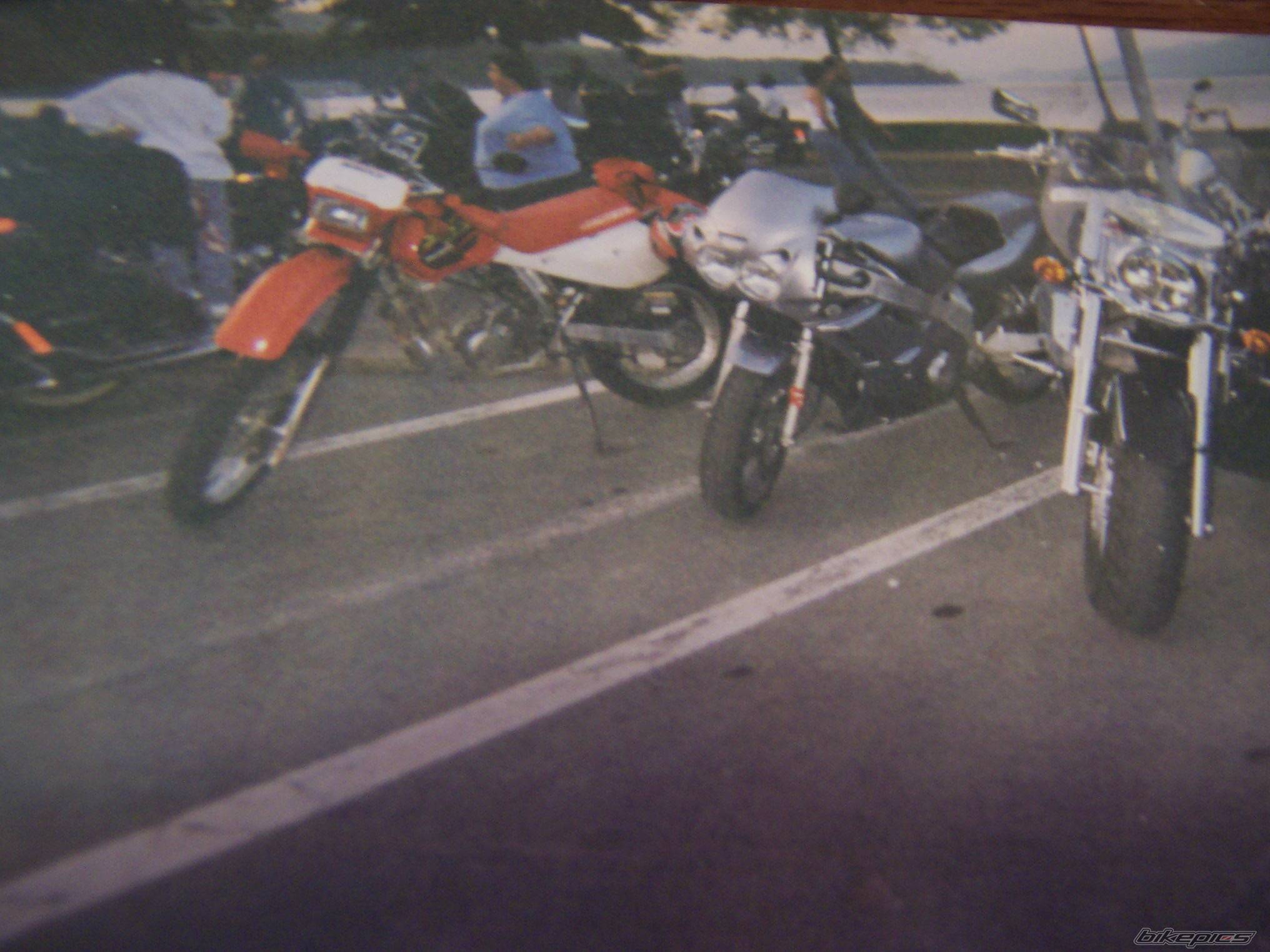 Photo 95253