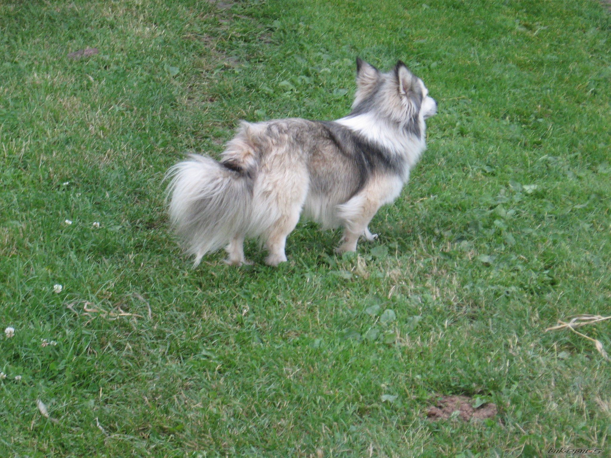 Photo 952632