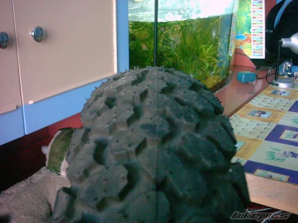 Photo 952830