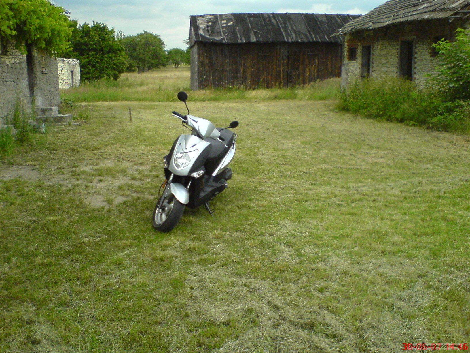 Photo 952860