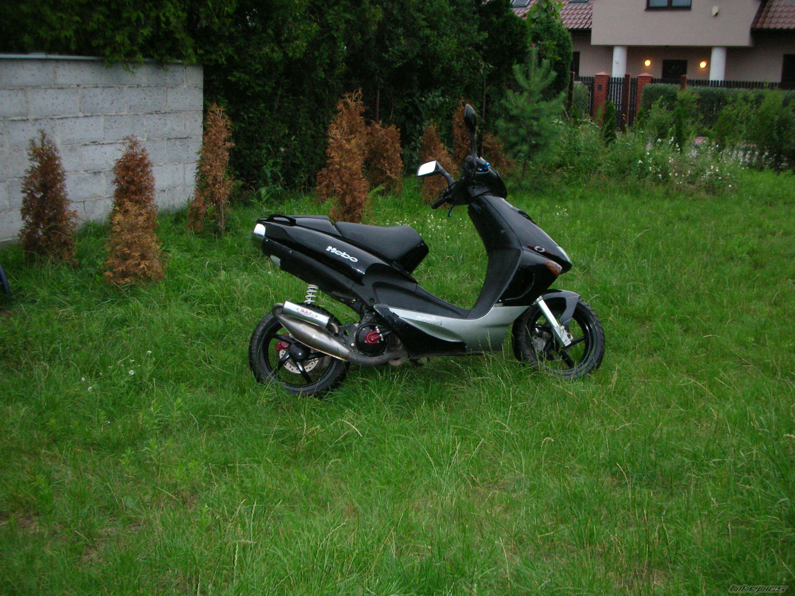 Photo 953267