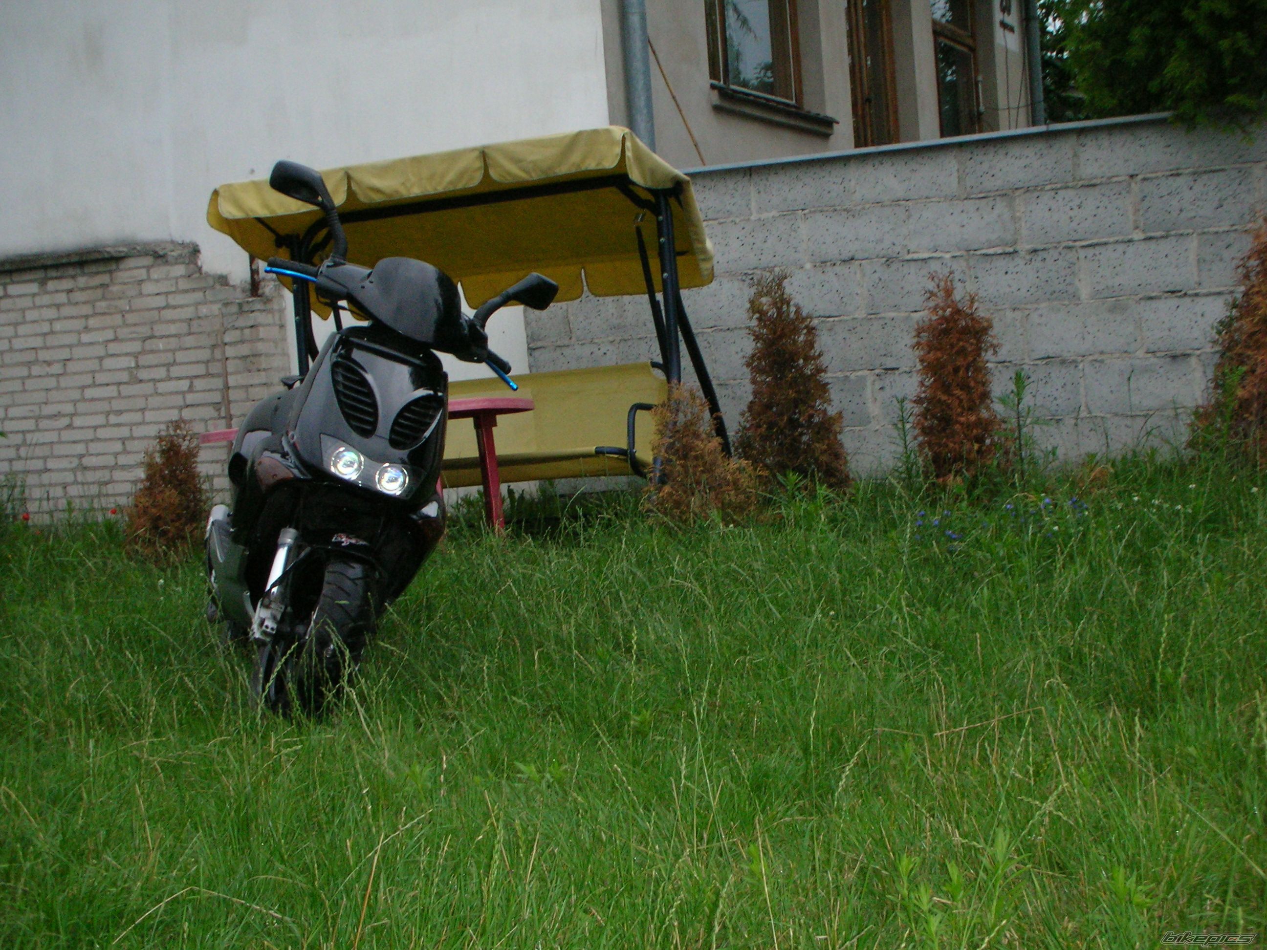 Photo 953269