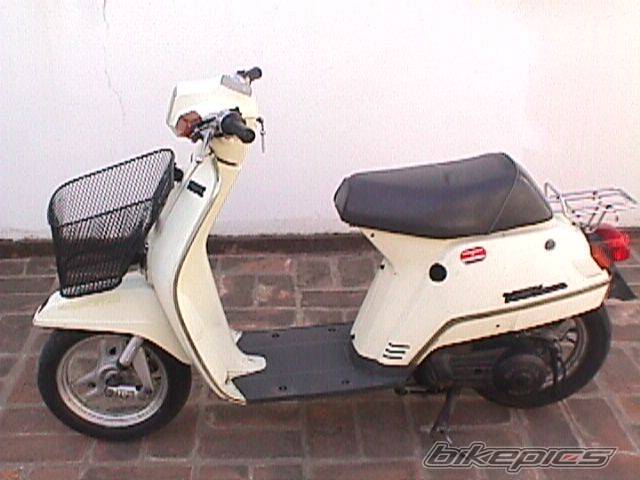 Photo 95329