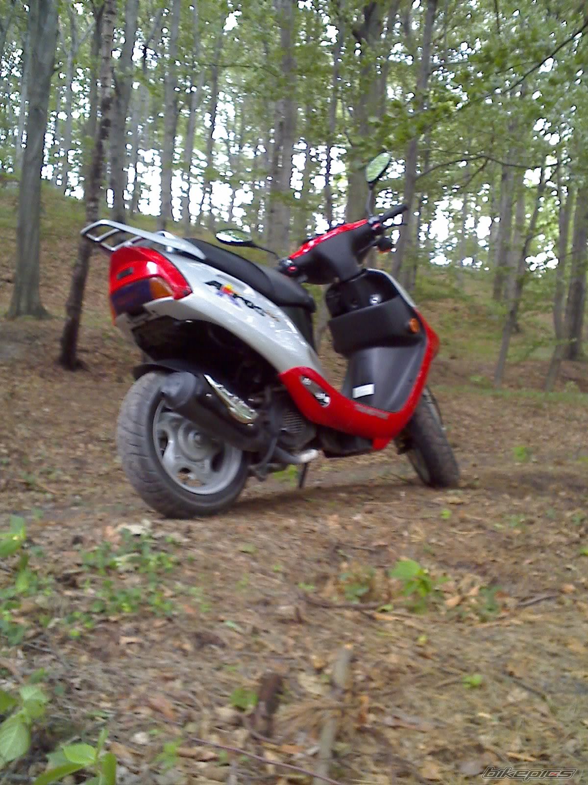 Photo 953494