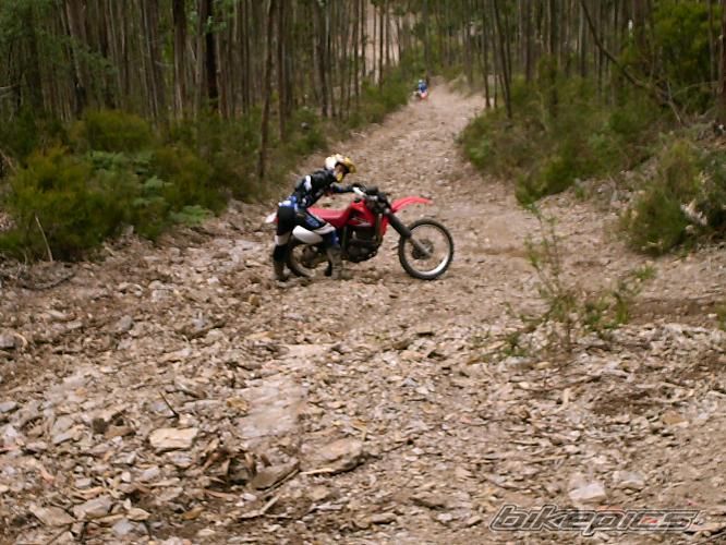 Bike Photo 953805