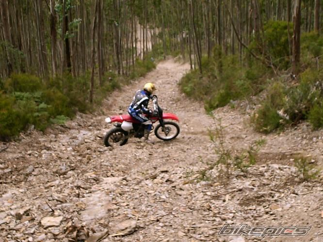 Bike Photo 953808