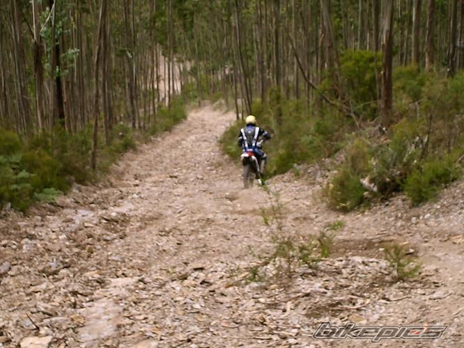 Bike Photo 953809