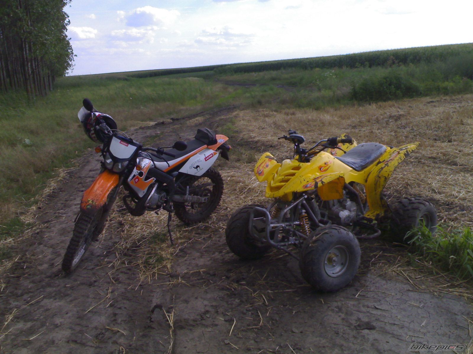 Photo 953899