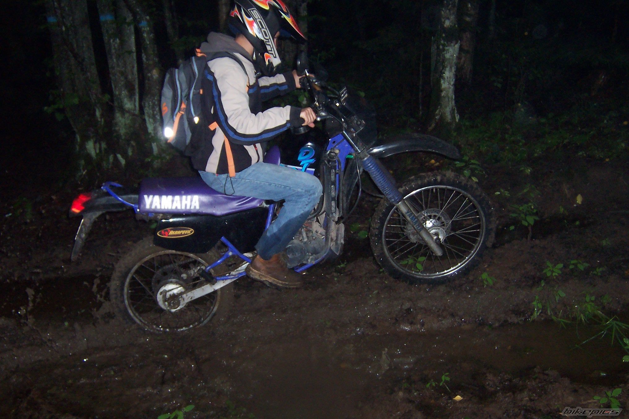 Photo 954007