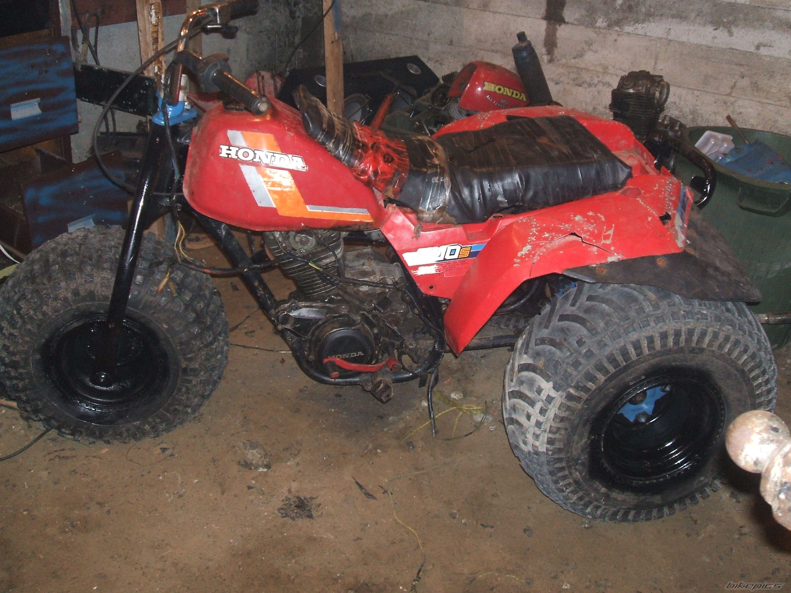 Photo 954149