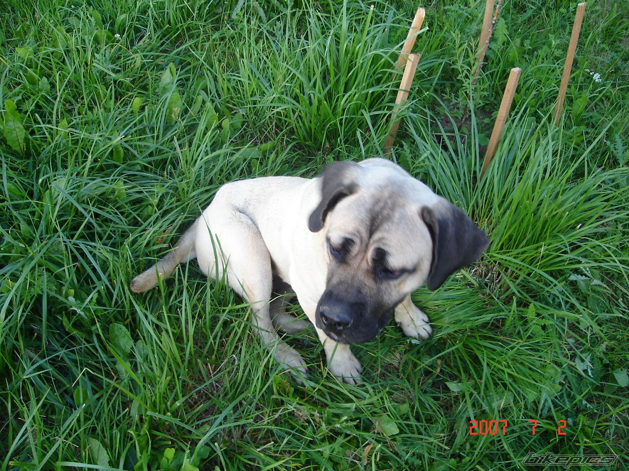 Photo 954170