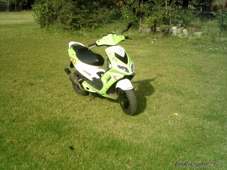 Photo 954394