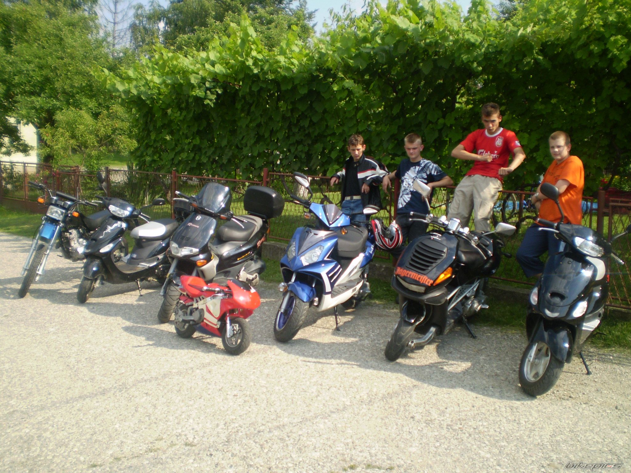 Photo 954429