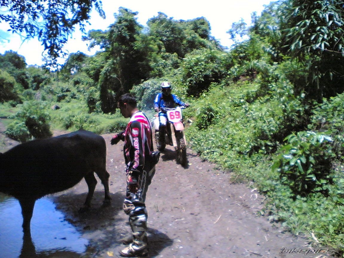 Photo 954472