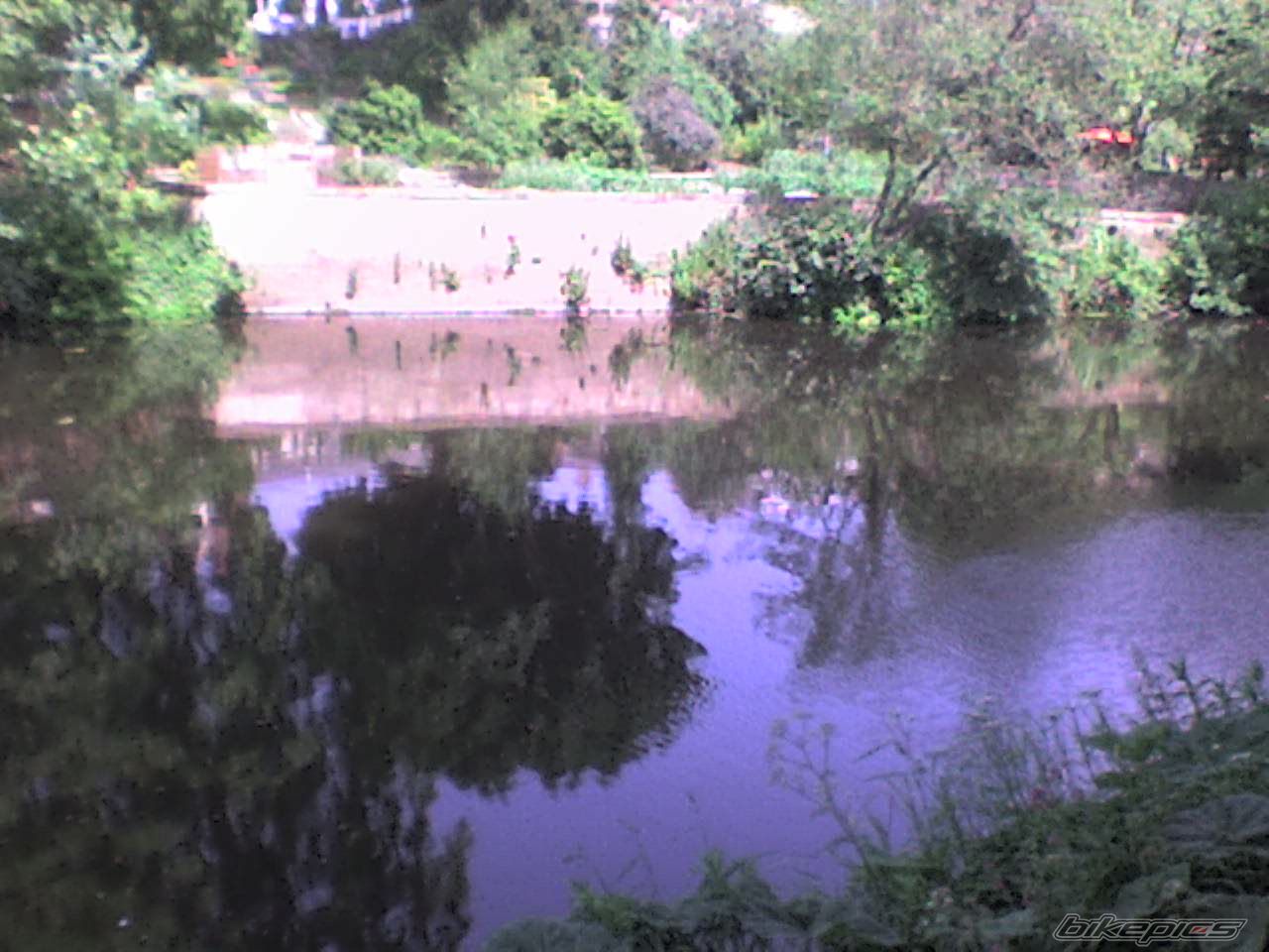 Photo 954473