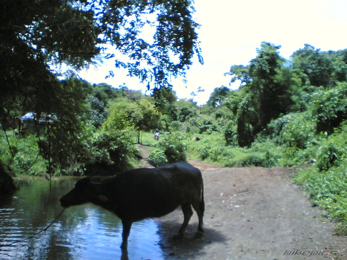 Photo 954475