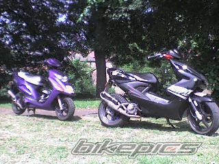Photo 954480