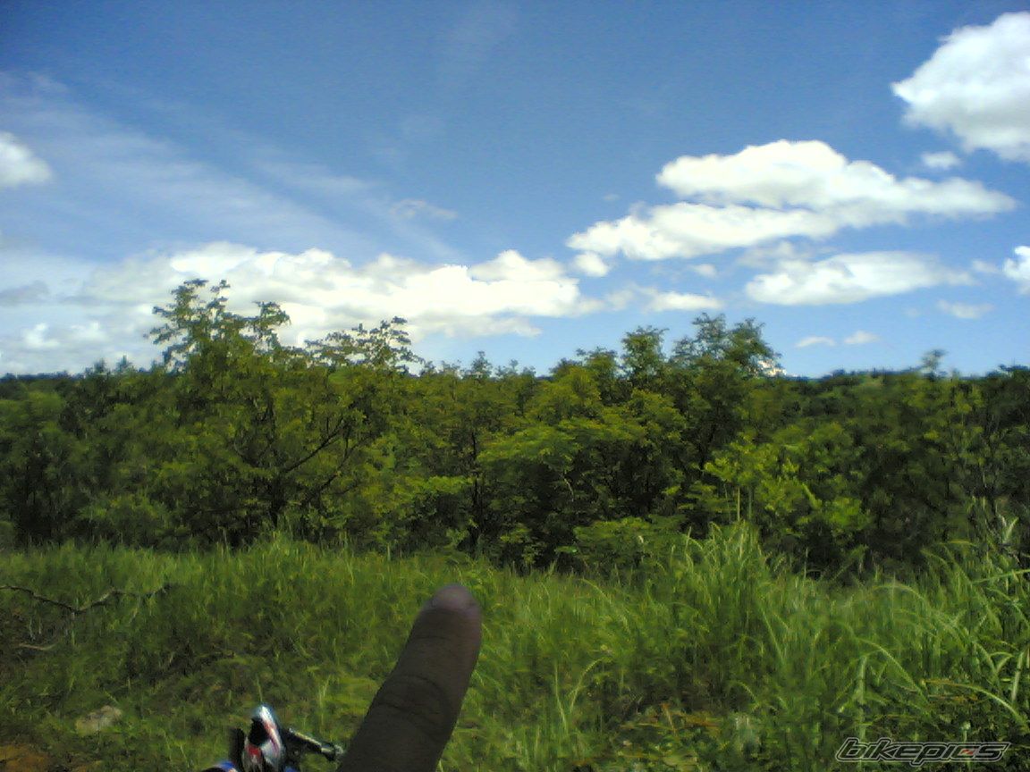 Photo 954482