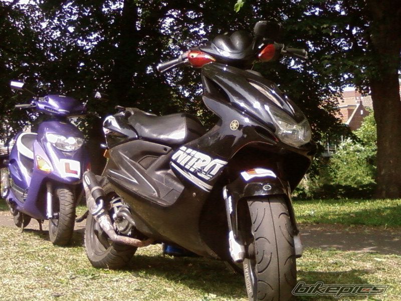 Photo 954506