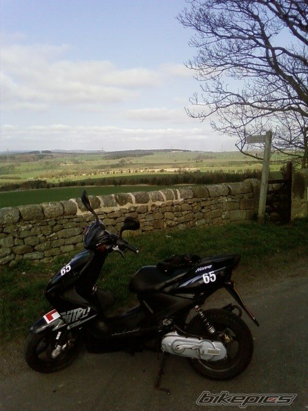 Photo 954508